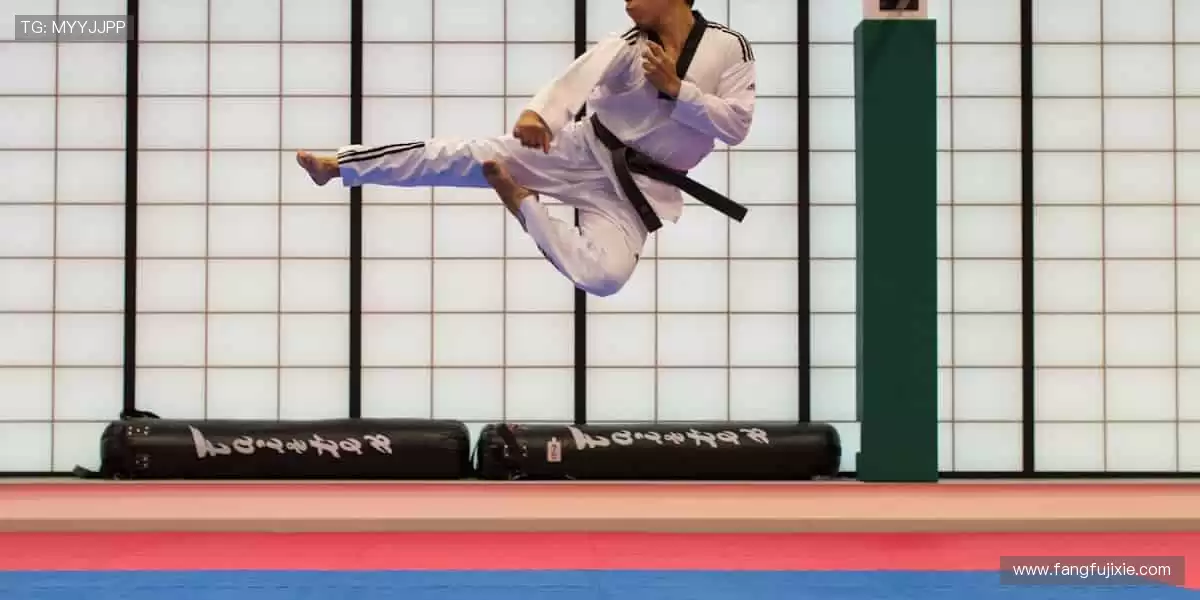 🎉 冠军之路，与你同在，