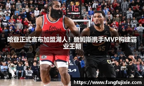 芒果体育官网入口