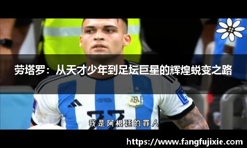 芒果体育官网入口