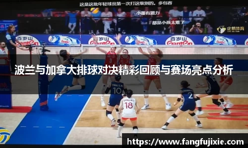 芒果体育官网入口